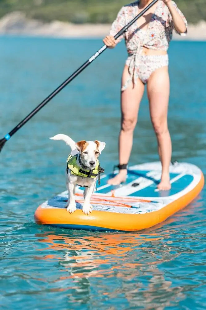 Aqua Marina Pure Air Tropic 12'0" (Blue) – All-Round iSUP with Adjustable Aluminum Paddle and Safety Leash Aqua Marina