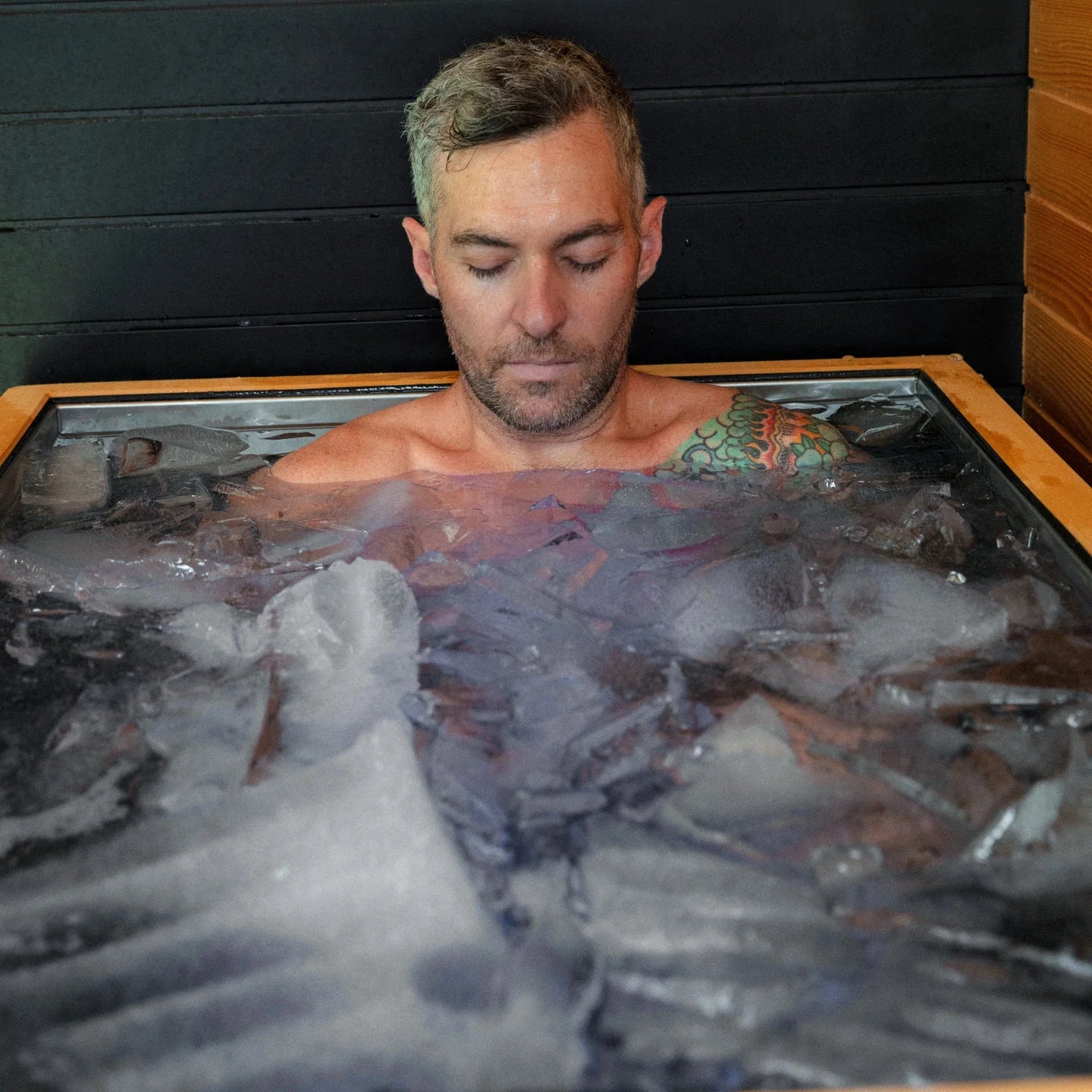 Revive Luxury Plunge | Premium Cold Therapy Tub with Built-In Ice Making Revive