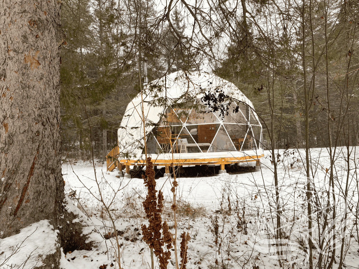 8M Deluxe Glamping Package - MF Phoenyx Domes