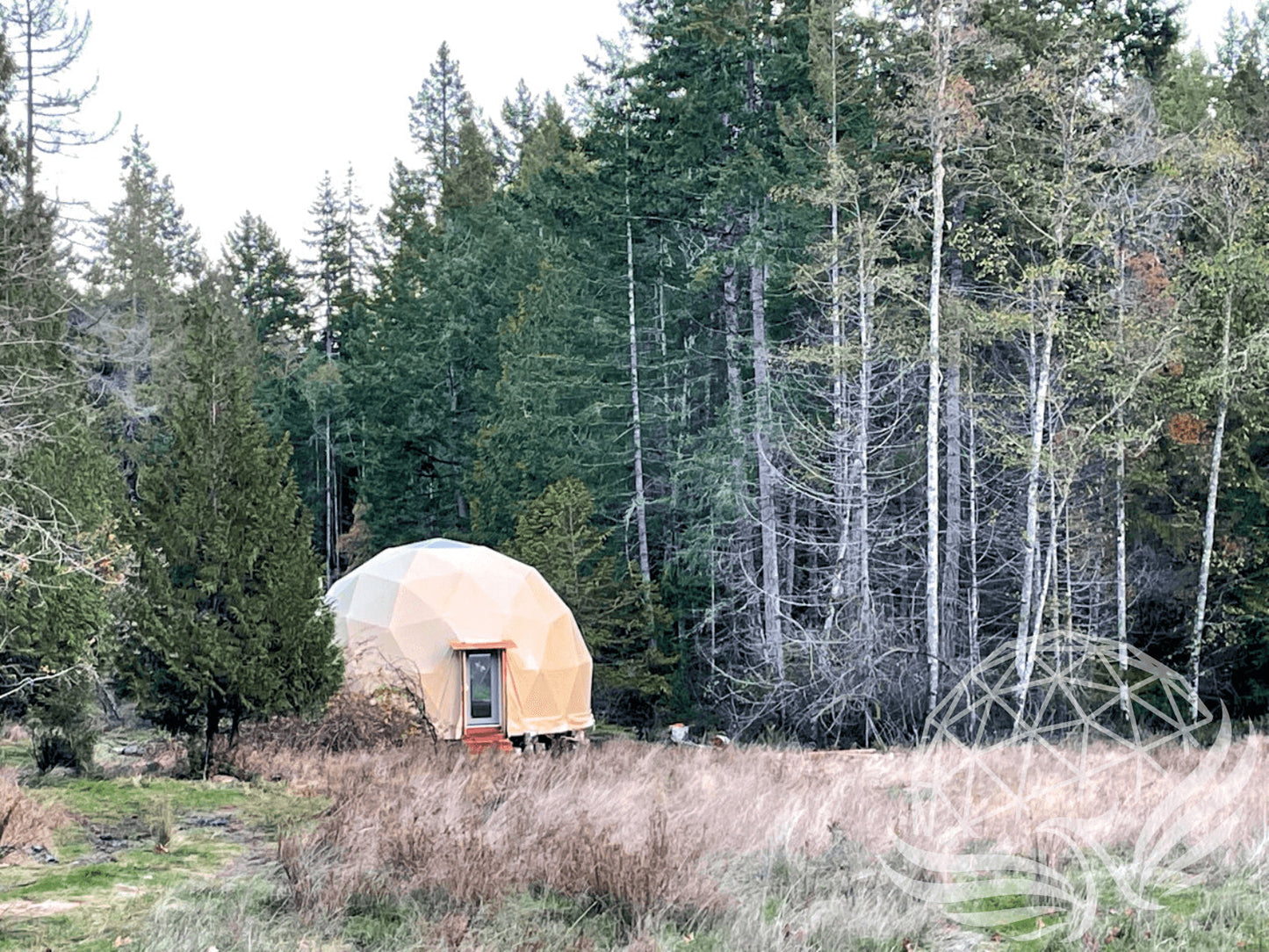 8M Deluxe Glamping Package - MF Phoenyx Domes