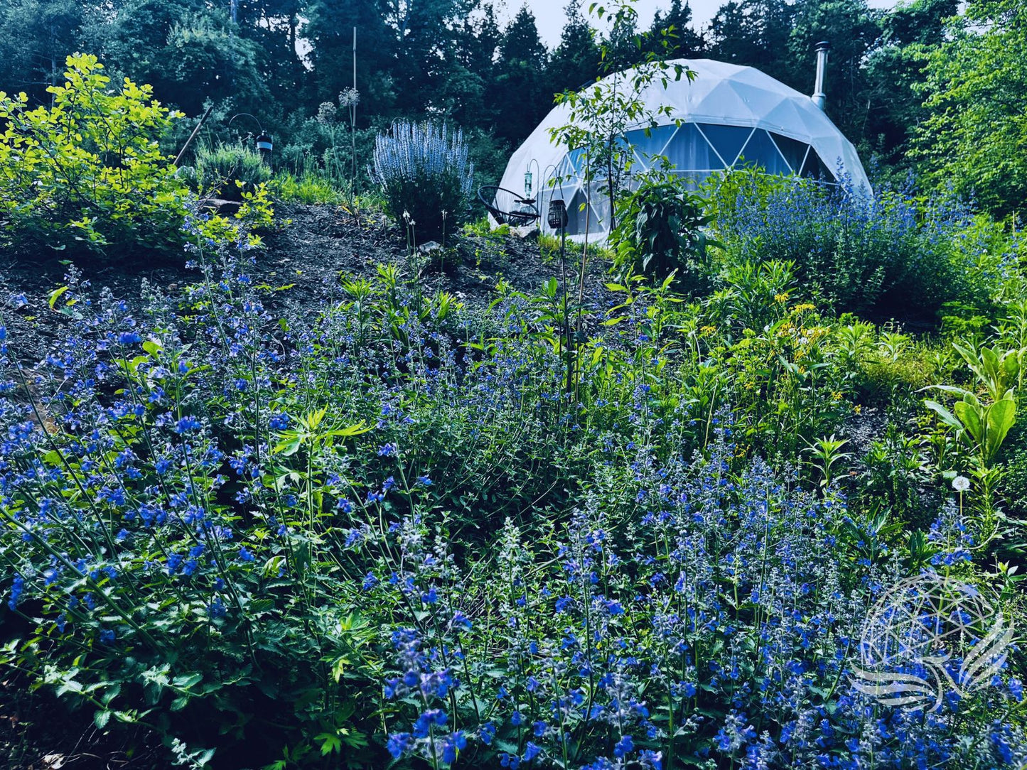 9M Deluxe Glamping Phoenyx Dome, Heavy Frame (White, Sage Green, Desert Beige) Phoenyx Domes
