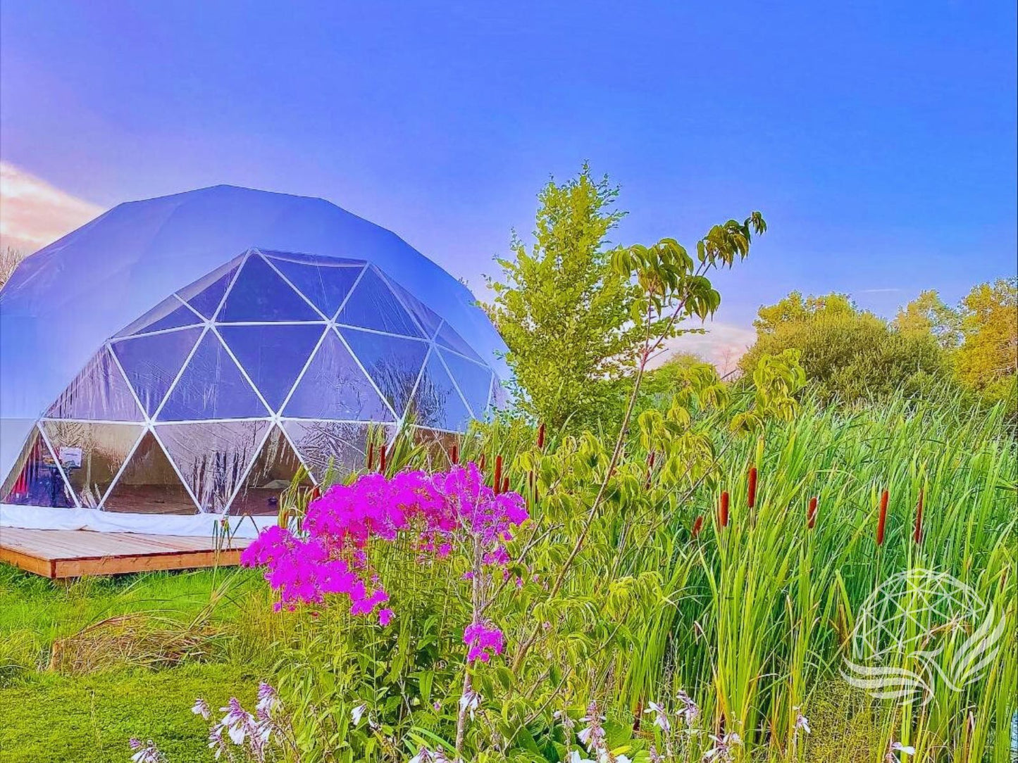 9M Deluxe Glamping Phoenyx Dome, Heavy Frame (White, Sage Green, Desert Beige) Phoenyx Domes