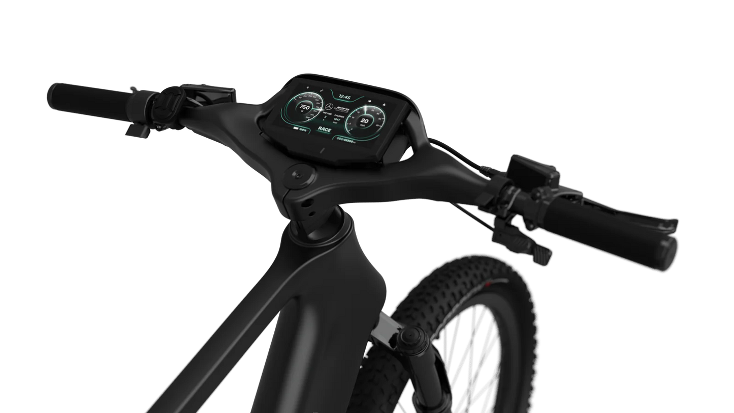 Mercedes-AMG F1® Rallye Edition 750 Electric Bike-E-bikes-n+ | Mercedes AMG F1® Bikes-Nature Escape HQ