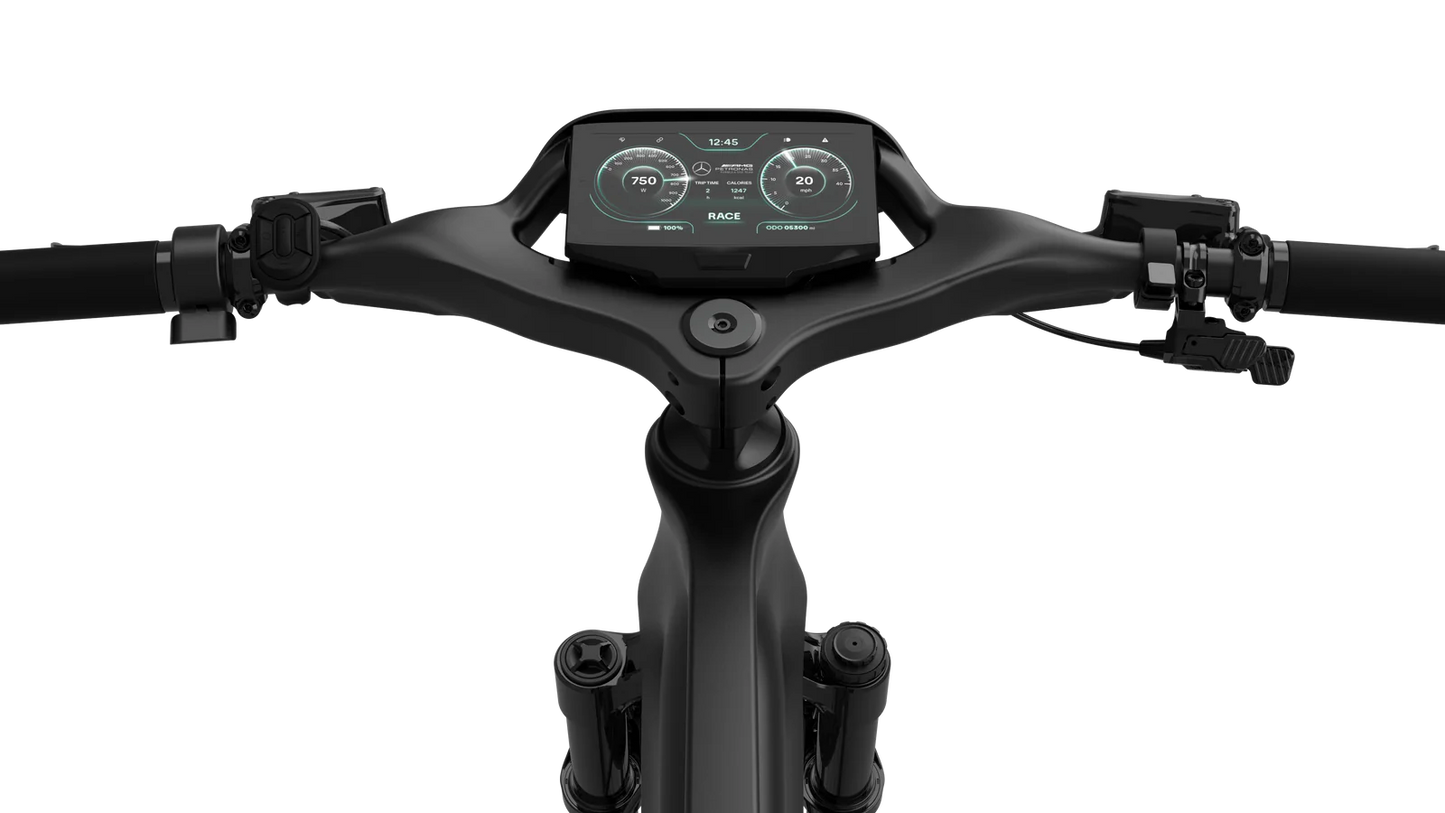 Mercedes-AMG F1® Rallye Edition 750 Electric Bike-E-bikes-n+ | Mercedes AMG F1® Bikes-Nature Escape HQ