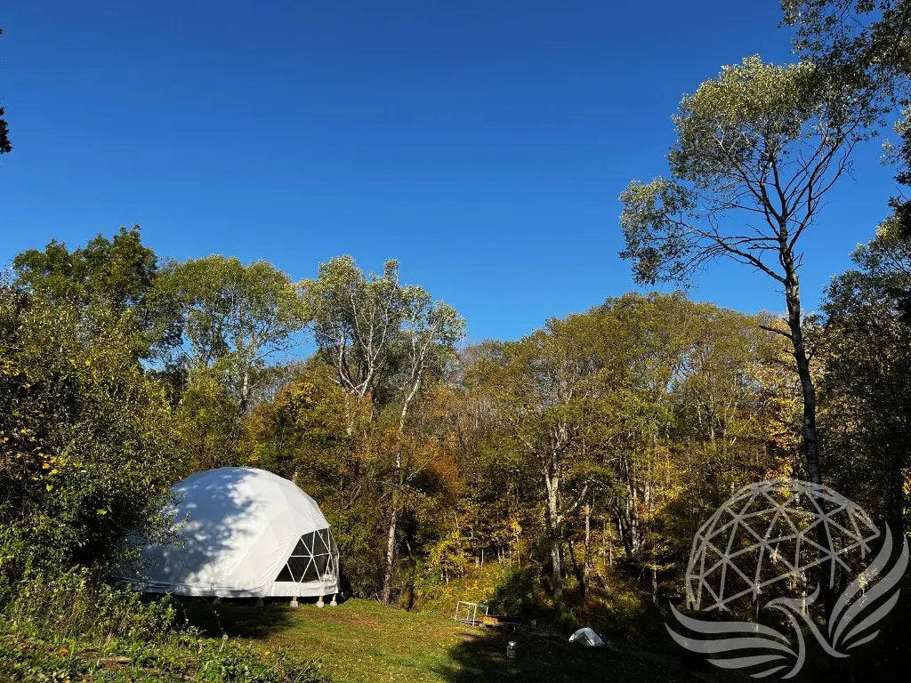 9M Deluxe Glamping Phoenyx Dome, Heavy Frame (White, Sage Green, Desert Beige) Phoenyx Domes