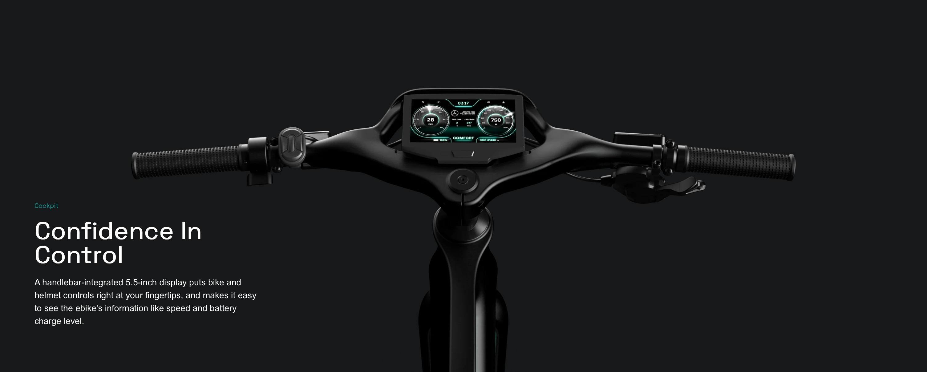 Mercedes-AMG F1® Rallye Edition 750 Electric Bike-E-bikes-n+ | Mercedes AMG F1® Bikes-Nature Escape HQ