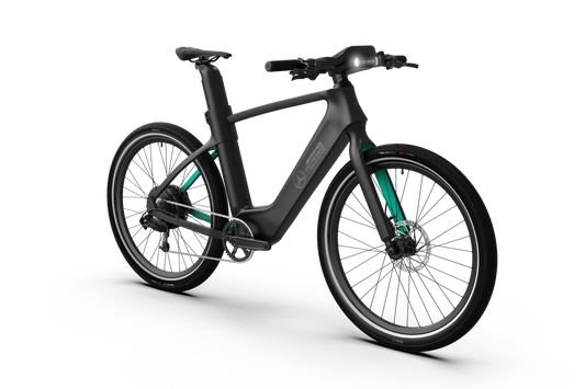 Mercedes-AMG F1® Track Edition 750 Electric Bike-E-bikes-n+ | Mercedes AMG F1® Bikes-Nature Escape HQ