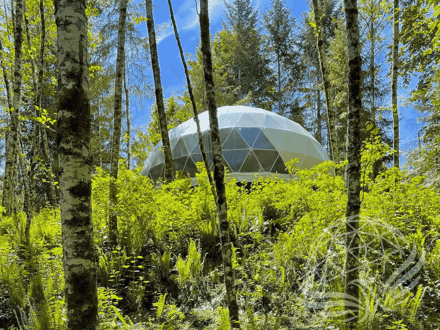 10M Deluxe Glamping Dome, Heavy Frame (White, Sage Green, Desert Beige) Phoenyx Domes