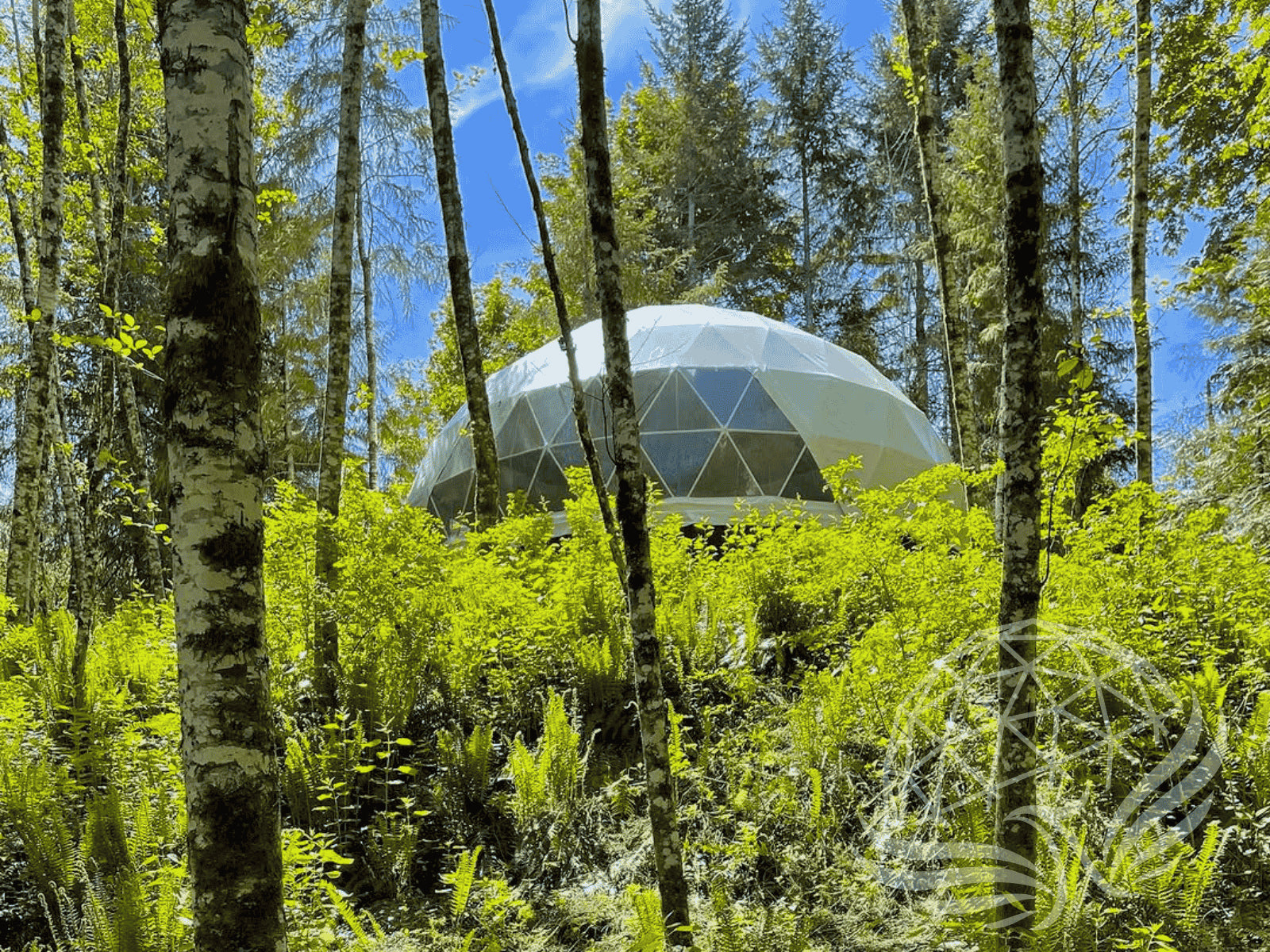 10M Deluxe Glamping Dome, Heavy Frame (White, Sage Green, Desert Beige) Phoenyx Domes
