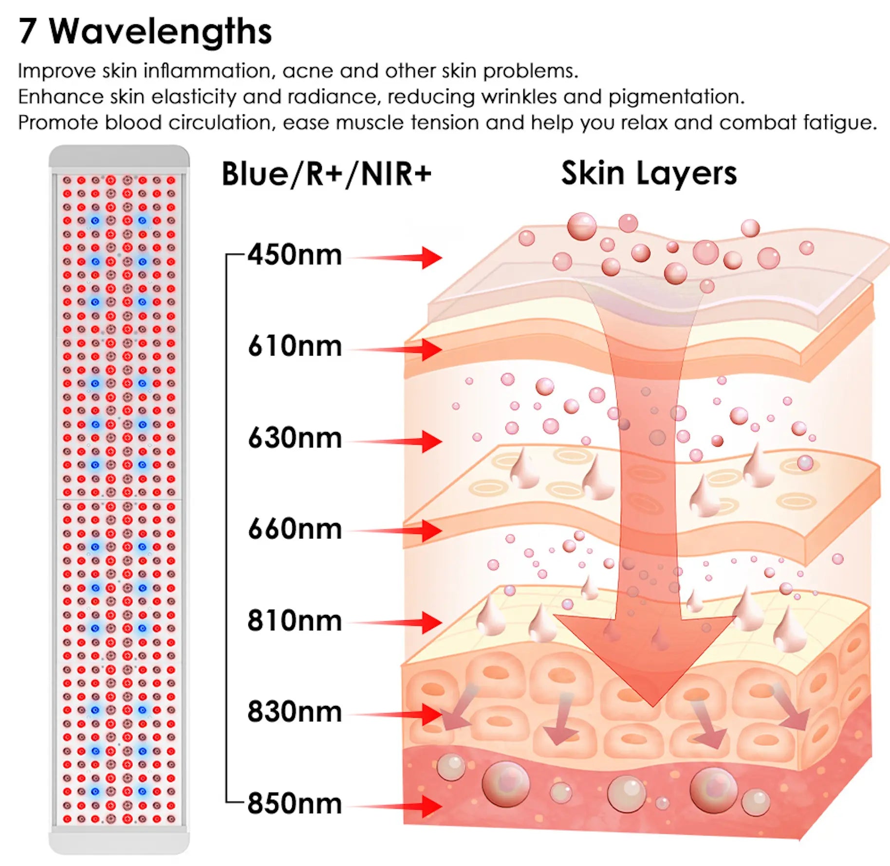 NEW The Panorama Panel light therapy wavelengths infographic showcasing skin benefits and layers.