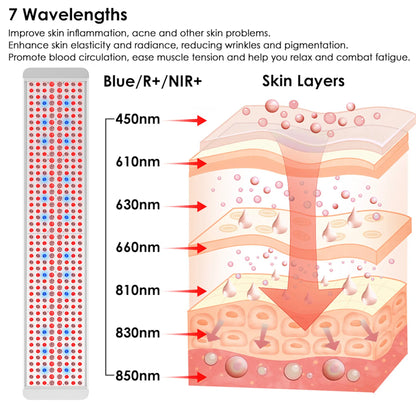 NEW The Panorama Panel light therapy wavelengths infographic showcasing skin benefits and layers.