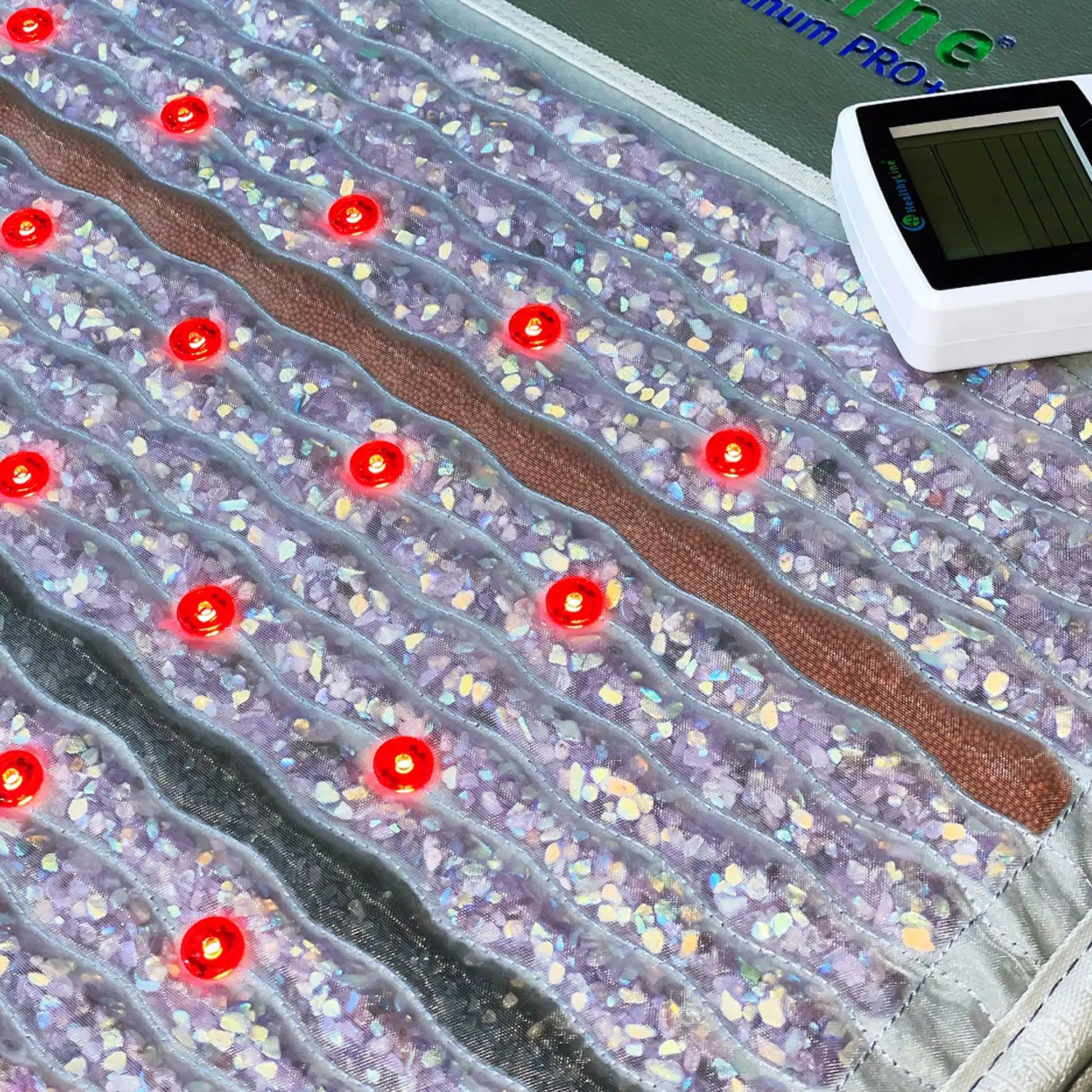 Professional PEMF Therapy Mat with Custom Programs