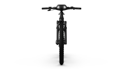 Mercedes-AMG F1® Rallye Edition 750 Electric Bike-E-bikes-n+ | Mercedes AMG F1® Bikes-Nature Escape HQ