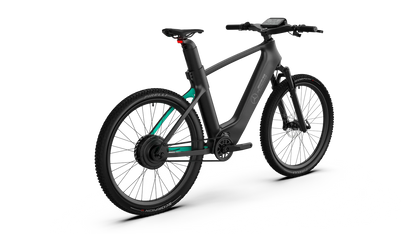 Mercedes-AMG F1® Rallye Edition 750 Electric Bike-E-bikes-n+ | Mercedes AMG F1® Bikes-Nature Escape HQ