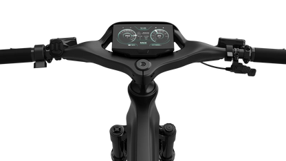 Mercedes-AMG F1® Rallye Edition 750 Electric Bike-E-bikes-n+ | Mercedes AMG F1® Bikes-Nature Escape HQ
