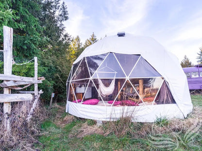 32mm (1  1/4")  frame, 3V frequency, multi-piece reflective insulation layer, washable interior oxford liner,Clear PVC panorama window with side zippers for ventilation, 2 opening triangle Glass windows, Heavy curtain on track, mini door awning Phoenyx Domes