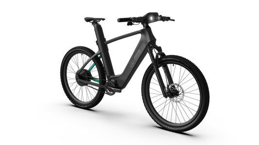 Mercedes-AMG F1® Rallye Edition 750 Electric Bike-E-bikes-n+ | Mercedes AMG F1® Bikes-Nature Escape HQ