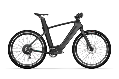 Mercedes-AMG F1® Track Edition 750 Electric Bike-E-bikes-n+ | Mercedes AMG F1® Bikes-Nature Escape HQ