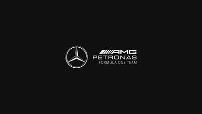 Mercedes-AMG F1® Track Edition 750 Electric Bike