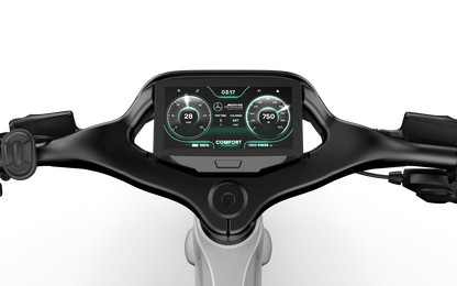 Mercedes-AMG F1® City Edition 750 Electric Bike n+ | Mercedes AMG F1® Bikes